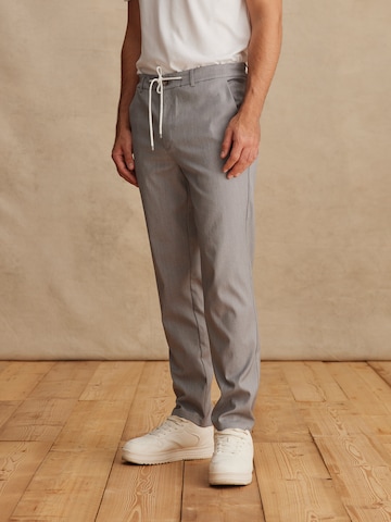 regular Pantaloni 'Pablo' di DAN FOX APPAREL in grigio: frontale