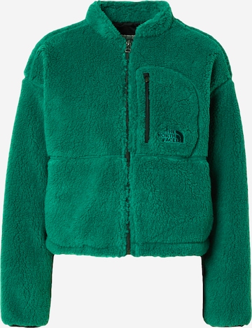 Giacca di pile 'EXTREME PILE' di THE NORTH FACE in verde: frontale