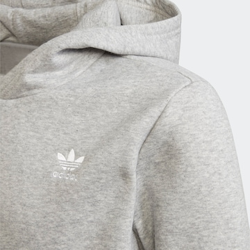 ADIDAS ORIGINALS Sweatshirt 'Adicolor' in Grijs