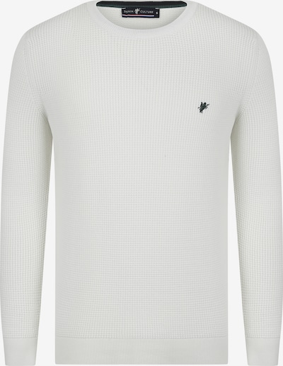 DENIM CULTURE Sweater 'ALJAMAIN' in White, Item view