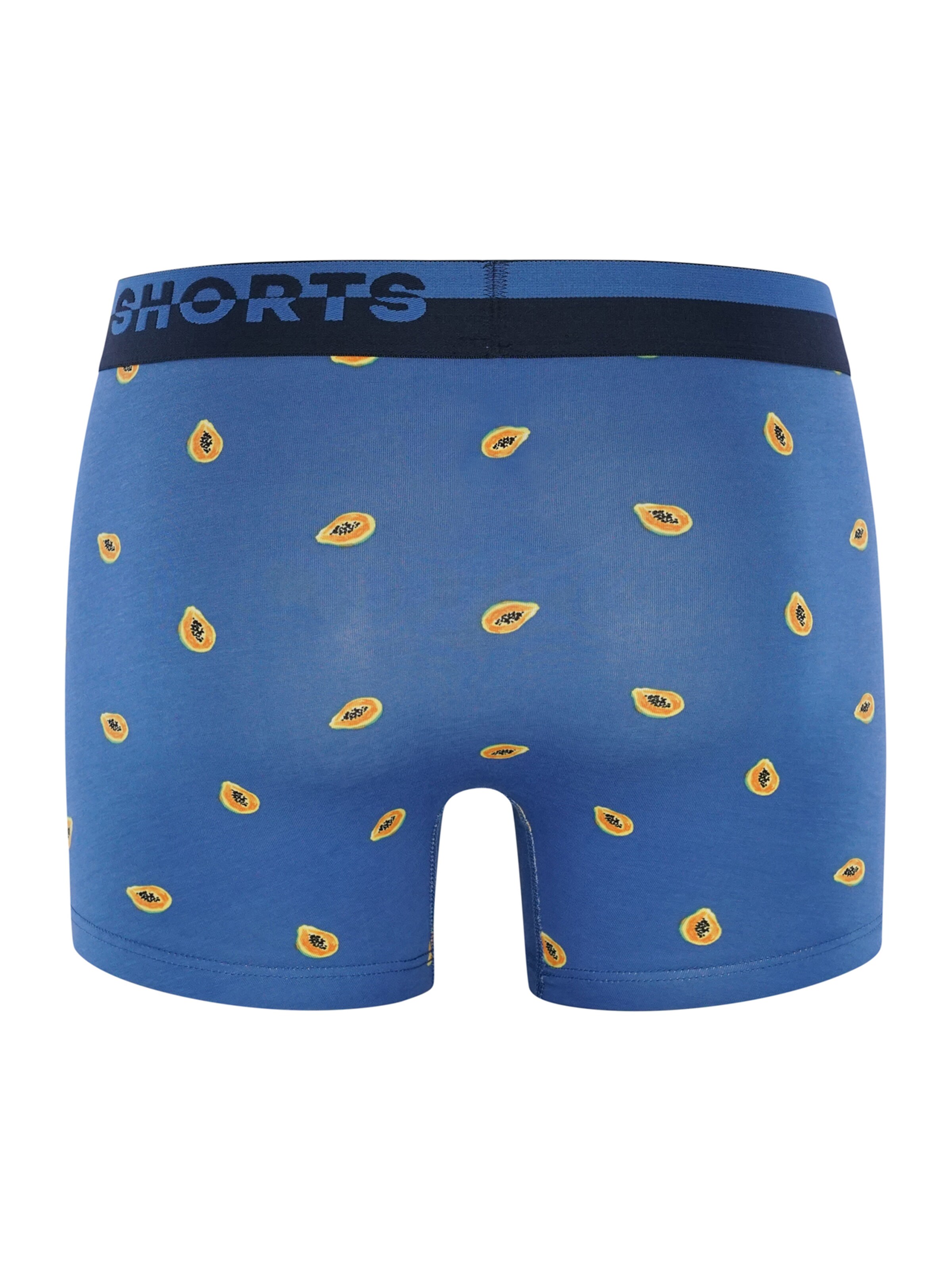 Boxers ' All Styles ' Phil & Co. Berlin en mélange de couleurs