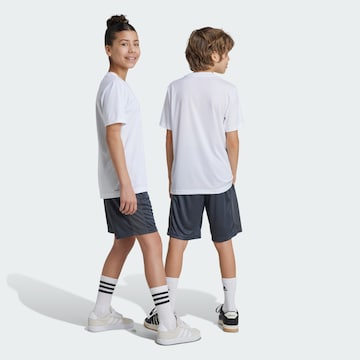 Regular Pantalon de sport 'Essentials' ADIDAS SPORTSWEAR en gris