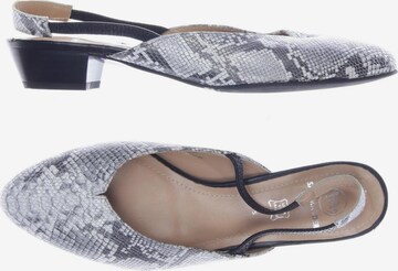 SALAMANDER Sandals & High-Heeled Sandals in 38 in Grey: front
