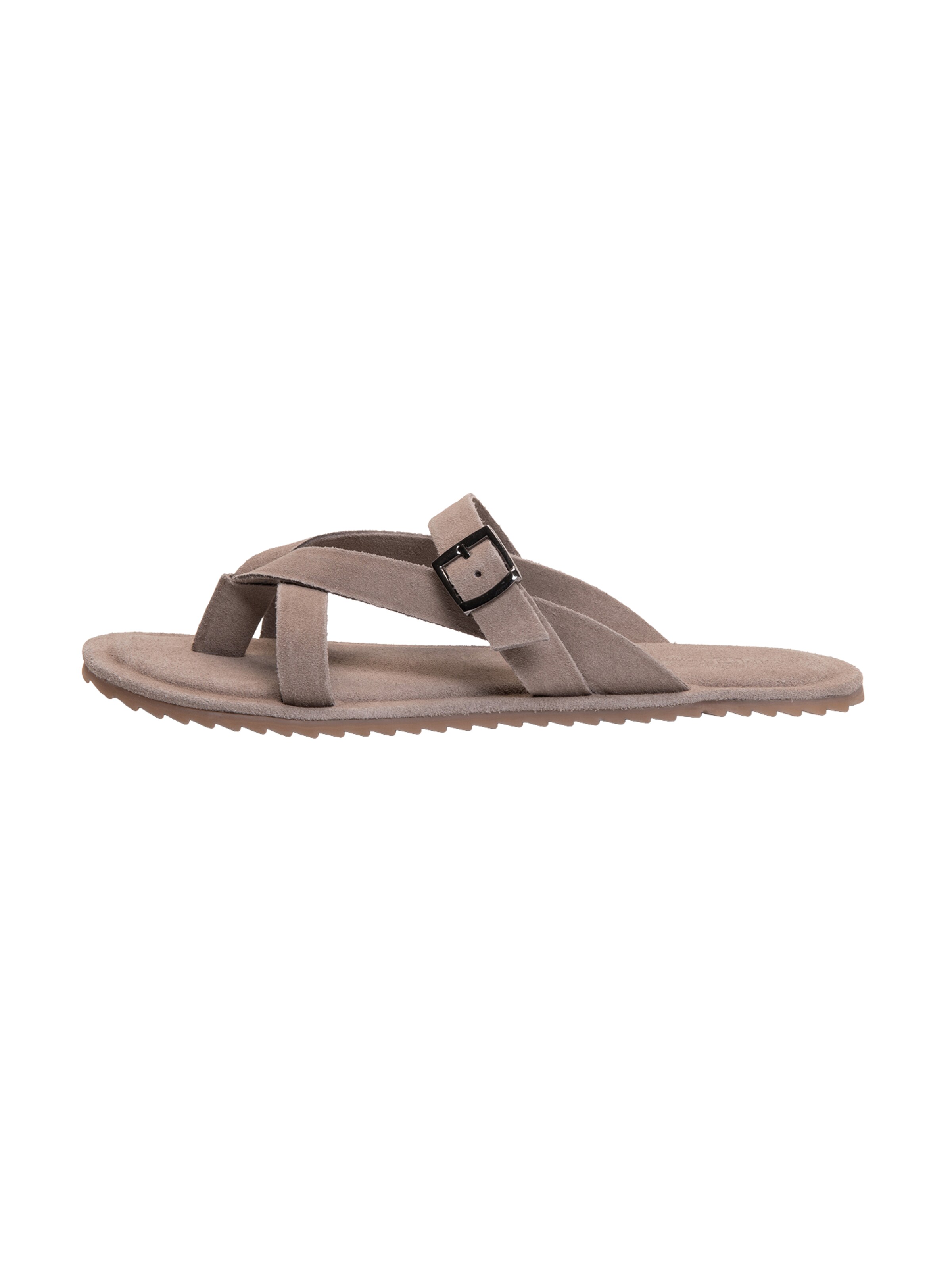 Zoccoletto di Ombre in grigio: frontale