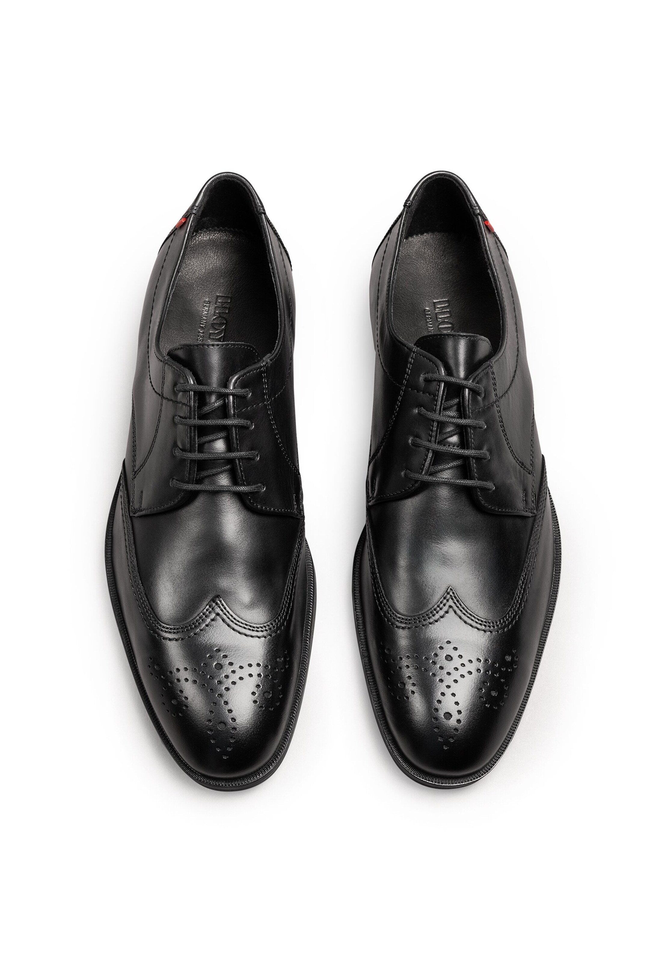 LLOYD Schnürschuh 'Farley' in Schwarz