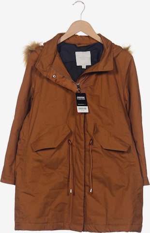 Springfield Jacket & Coat in XL in Brown: front