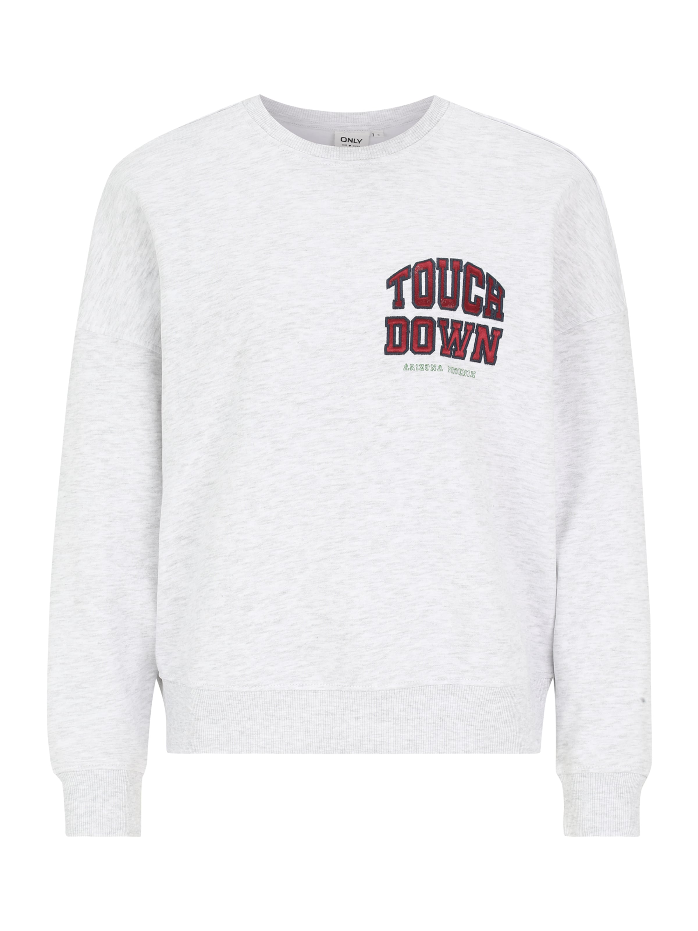 Only Petite Sweatshirt 'ONLRILLO' in Grey: front