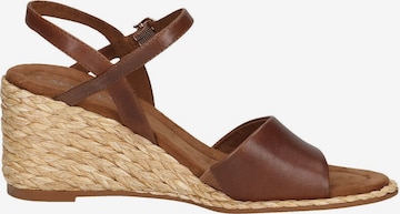 CAPRICE Sandals in Brown