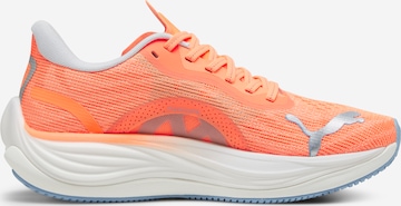 PUMA - Sapatilha de corrida 'Velocity Nitro 3' em laranja