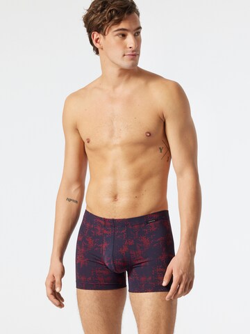 uncover by SCHIESSER Boxershorts in Blau: predná strana