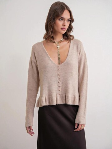 Pullover di MixRay in beige: frontale