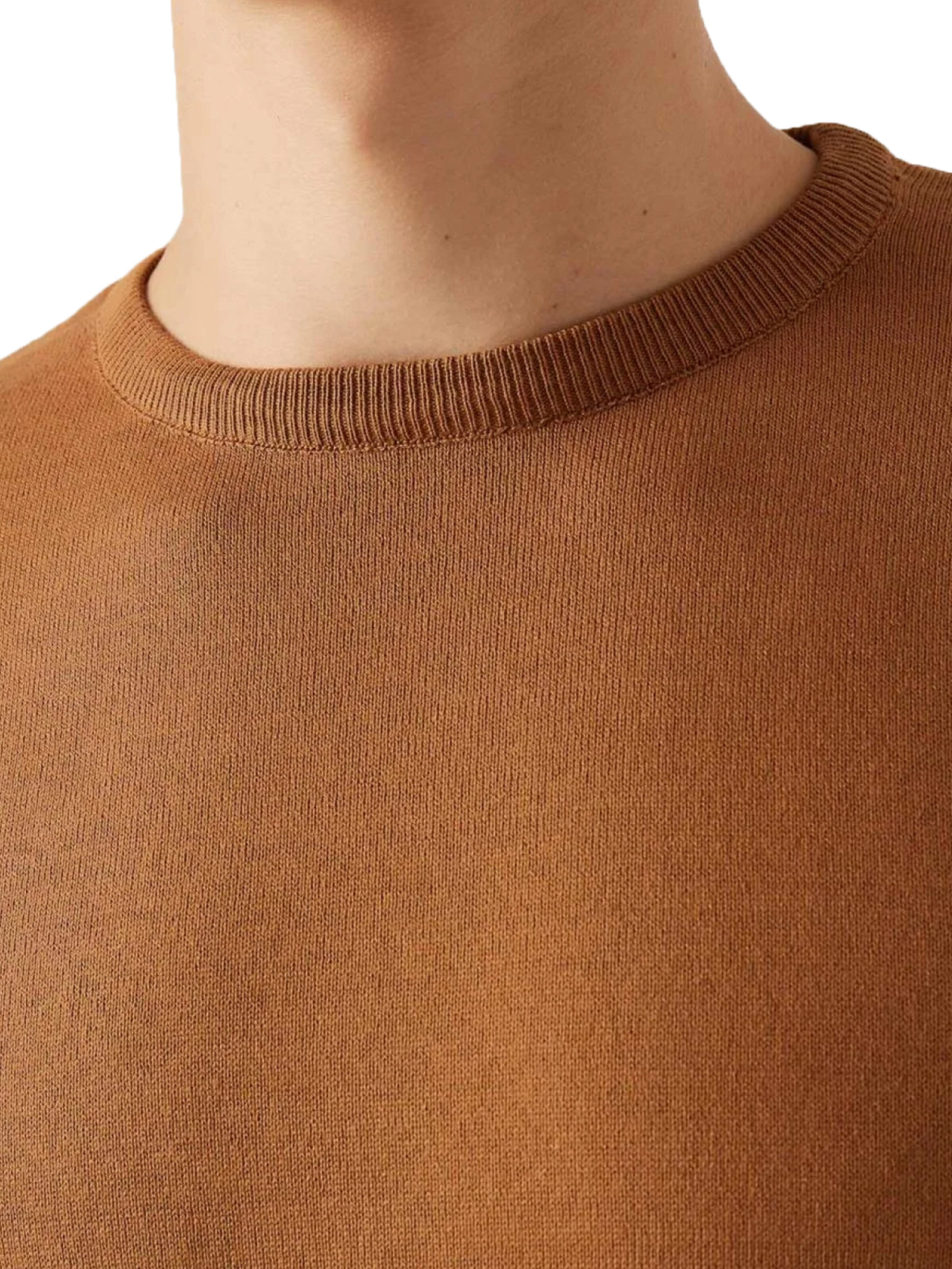 D’S Damat Trui in Bruin