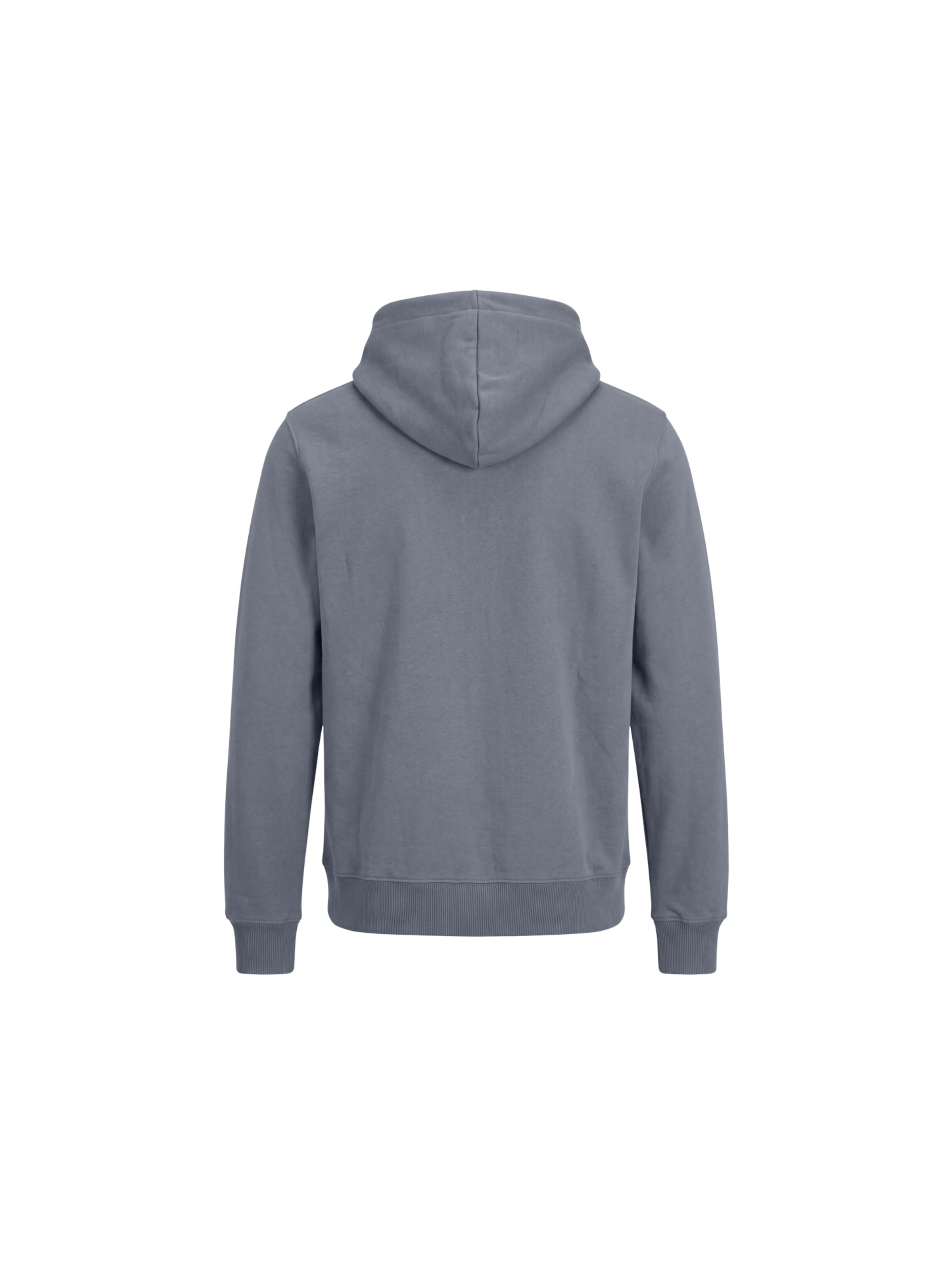 Felpa 'Arvid' di DAN FOX APPAREL in blu