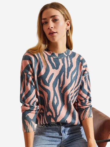 Bianco Lucci Pulover 'Pullover' | mešane barve barva