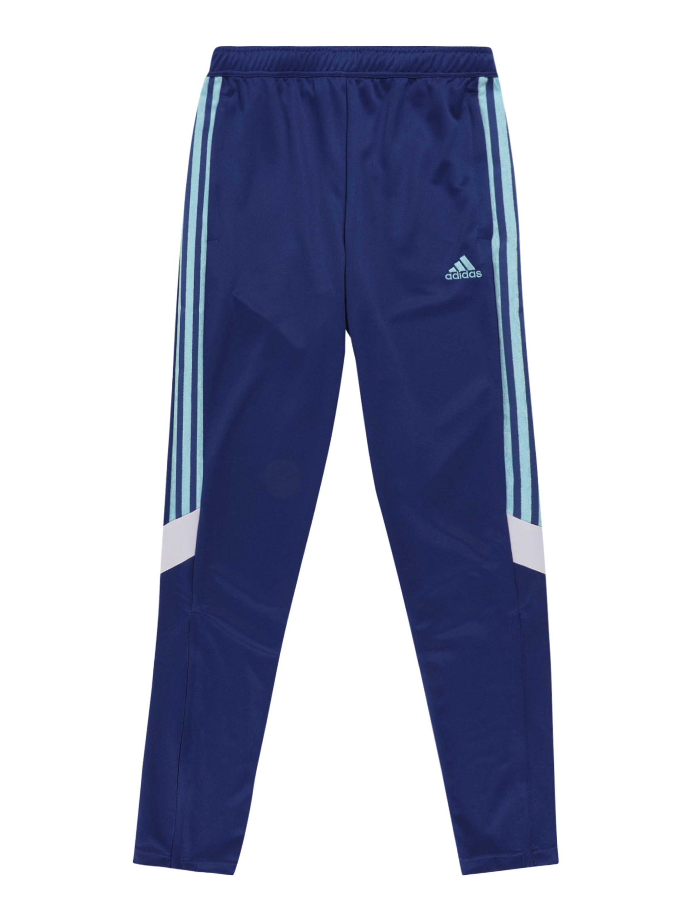ADIDAS SPORTSWEAR Slimfit Sporthose 'Tiro' in Blau: Vorderseite