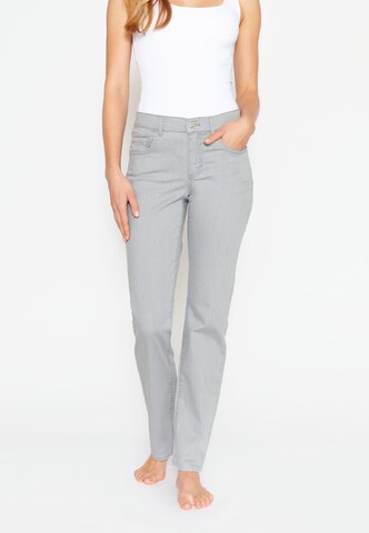 Angels Regular Jeans 'Dolly' in Grey: front