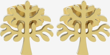 Akzent Earrings 'Vale, hautverträglich' in Gold: front