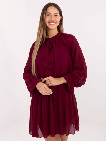 Madnezz House Dress in Red: front
