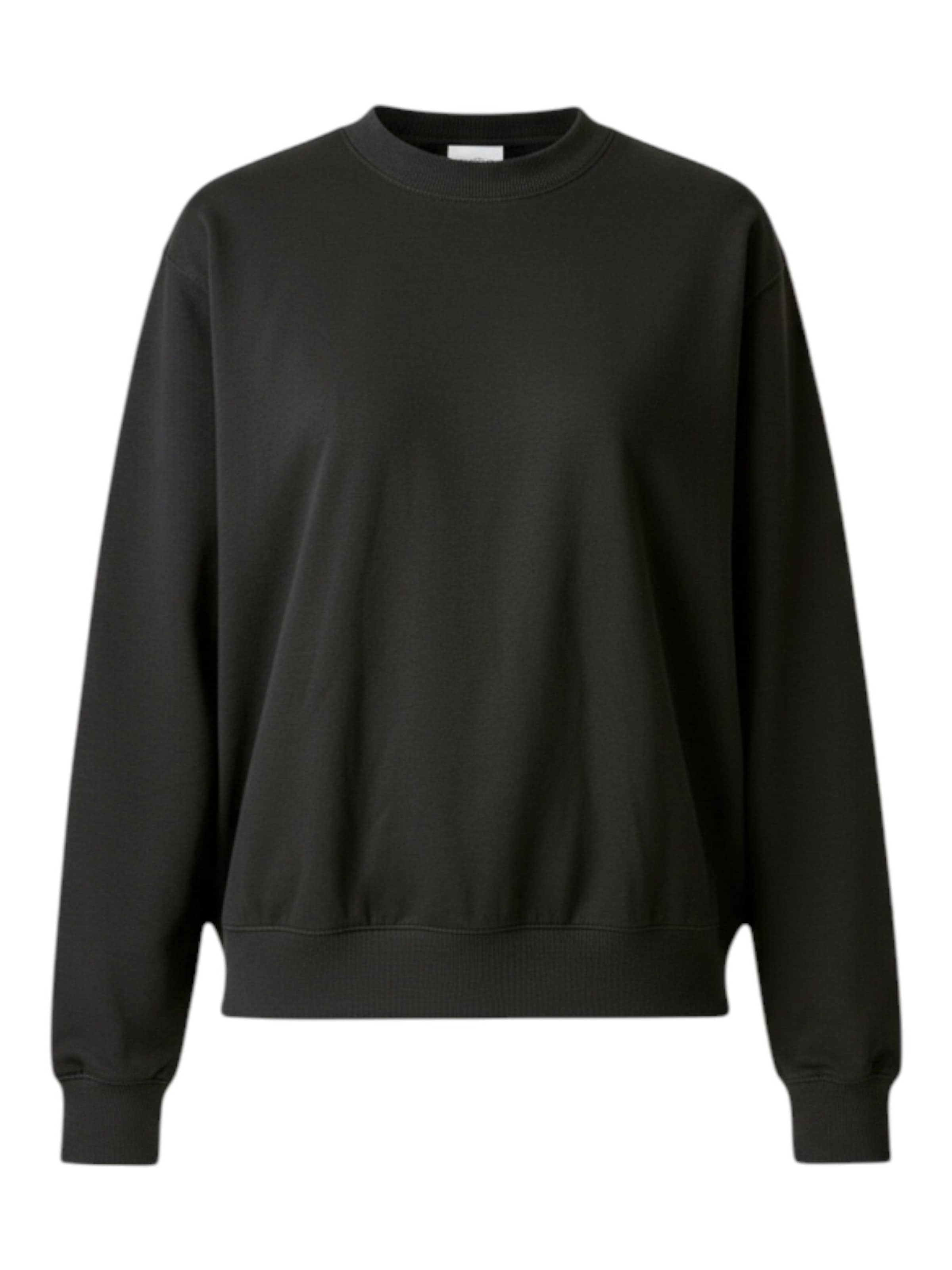 TEESHOPPEN Sweatshirt in Schwarz: Vorderseite