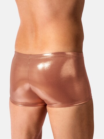 Manstore Boxer shorts ' M2614 Micro Pants ' in Bronze