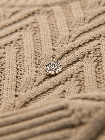 Ombre Sweater in Beige