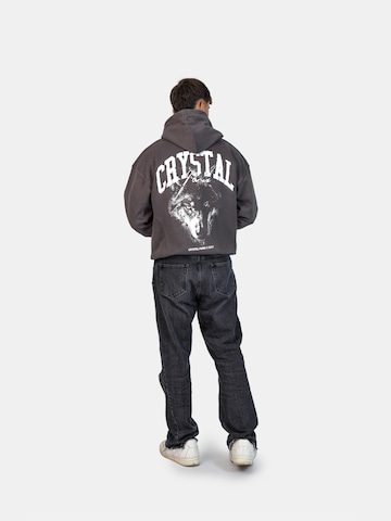Crystal Paris Sweatshirt 'Nightwolf' in Grey