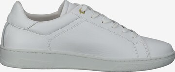 Baskets basses 'Paterno' PANTOFOLA D'ORO en blanc