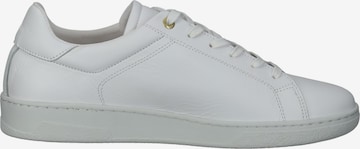 PANTOFOLA D'ORO Sneakers 'Paterno' in White
