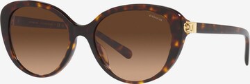 Lunettes de soleil COACH en marron : devant