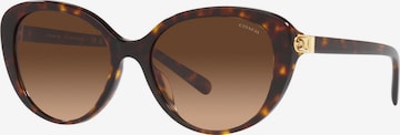COACH - Gafas de sol en marrón: frente