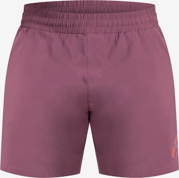 Smilodox Workout Pants 'Emil' in Purple: front