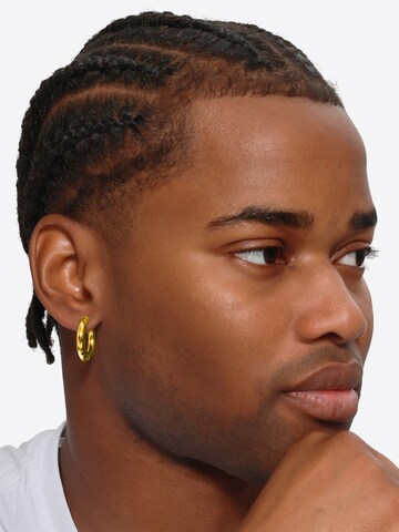 Boucles d'oreilles 'Zosim' Heideman en or : devant