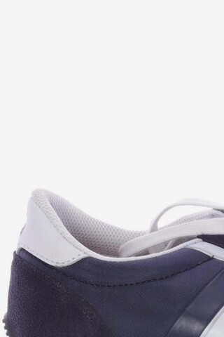 TOMMY HILFIGER Sneakers & Trainers in 42 in Blue