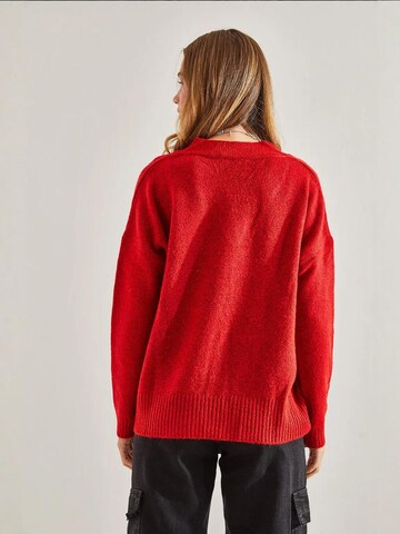 Bianco Lucci Pullover in Rot
