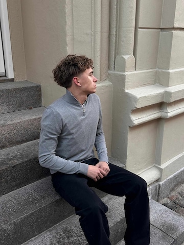 Pull-over ' Pullover Half ' TEESHOPPEN en gris