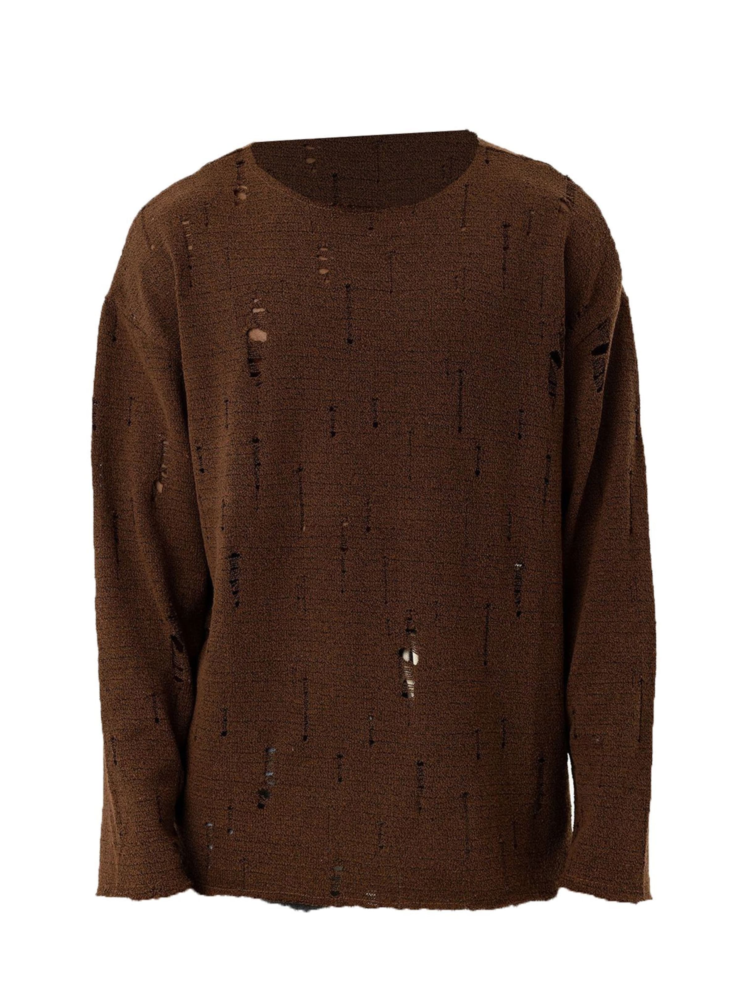 Pullover di Dandalo in marrone: frontale