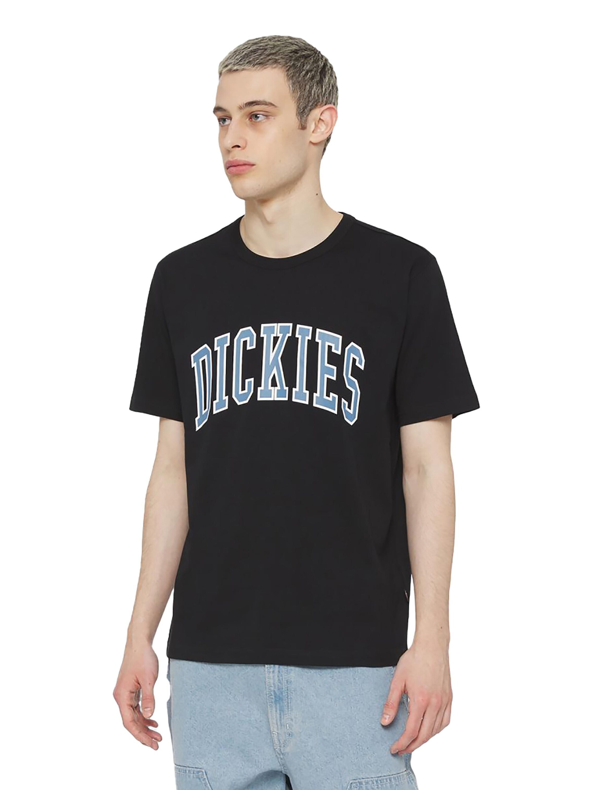 DICKIES Shirt 'Aitkin' in Black: front