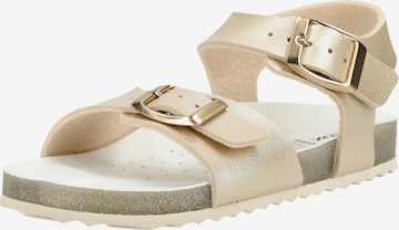 Sandales GEOX en or : devant