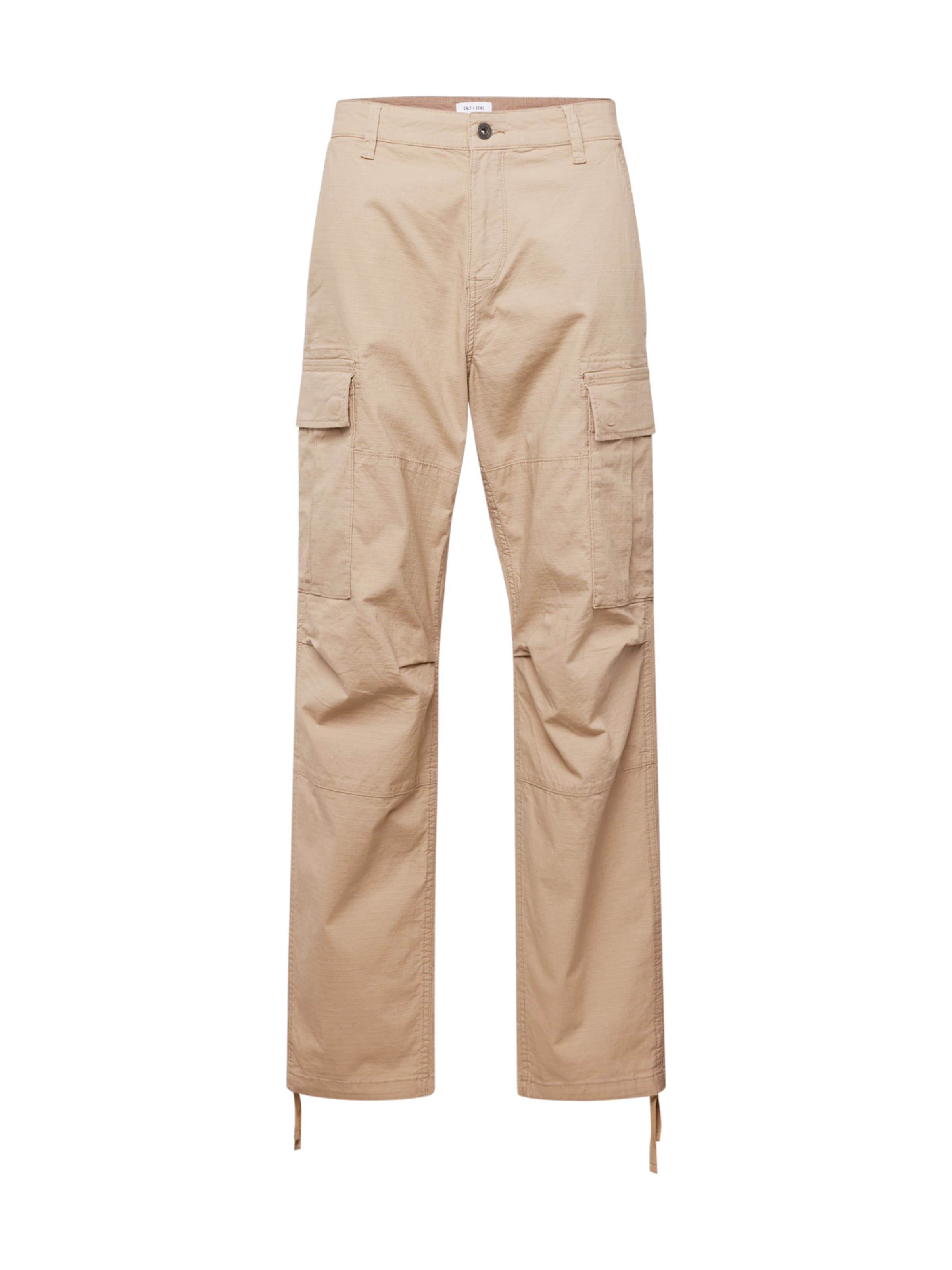 Only & Sons Regular Cargo Pants 'ONSRAY' in Beige: front