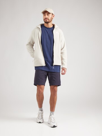 JACK WOLFSKIN Funkcionalna jopa iz flisa 'WINTERSTEIN' | siva barva