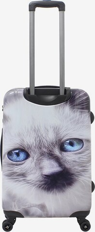 Saxoline Trolley 'White Cat' in Wit