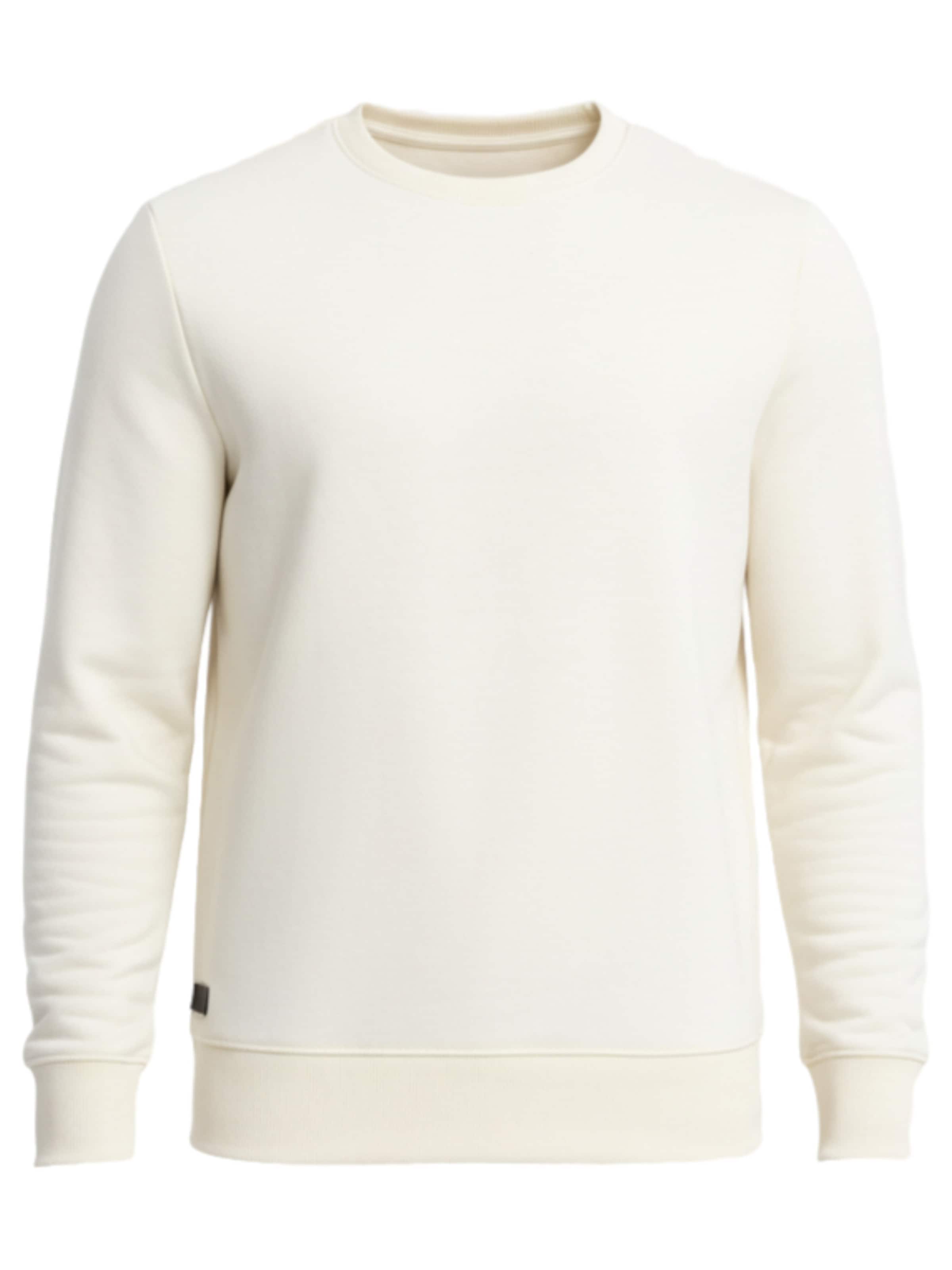 Sweat-shirt 'OM-SSBN-0159' Ombre en beige : devant