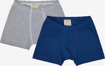 loud + proud Underpants in Blue: front
