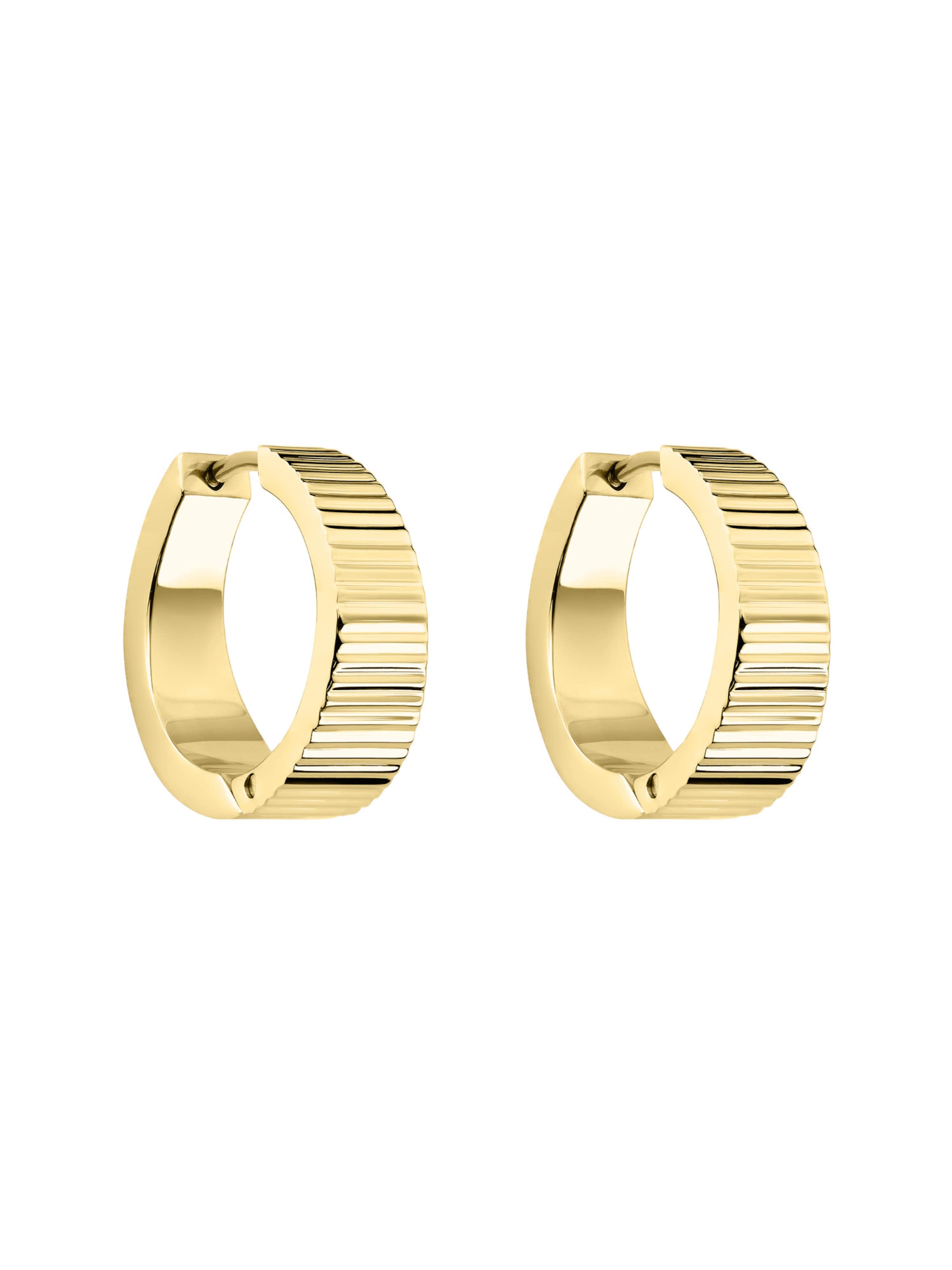 Liebeskind Berlin Earrings in Gold: front