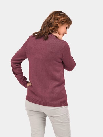 Goldner Pullover in Lila