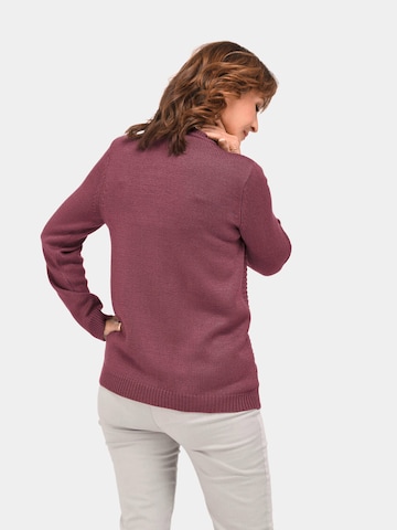 Goldner Sweater in Purple
