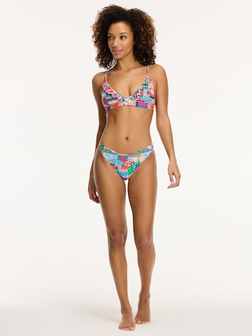 Shiwi Triangel Bikini in Mischfarben