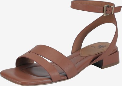 Ekonika Sandalen in braun, Produktansicht