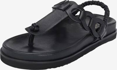 Crickit Sandale in schwarz, Produktansicht