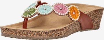 LAZAMANI Mule in Mixed colours: front